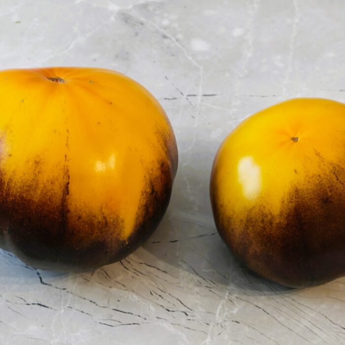 00524 Persik nr. 2