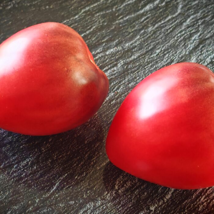Pomidor Strawberry Sergeant (Kolekcja Sofia Saakova)