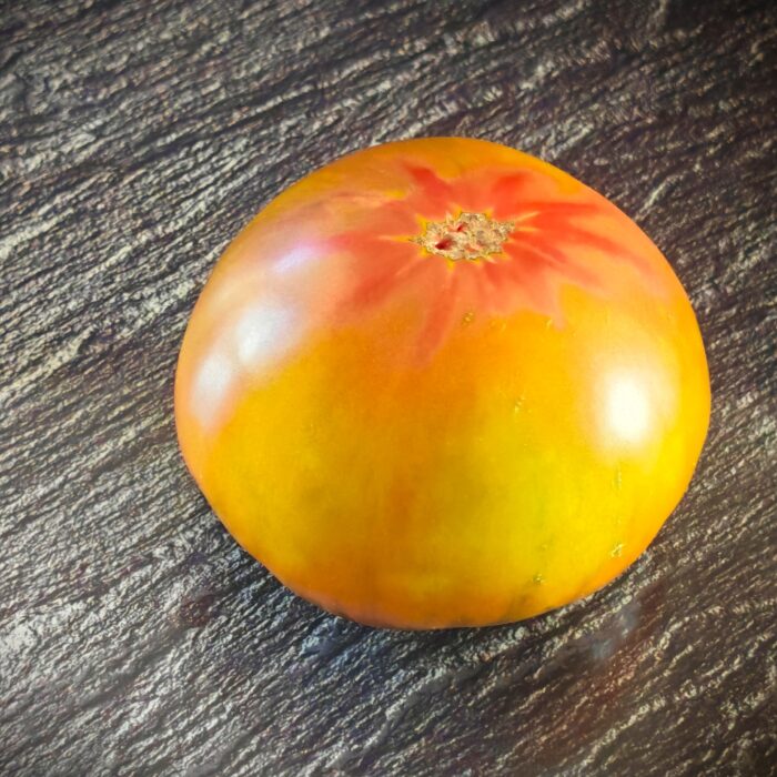 Pomidor Twilight Tricolor