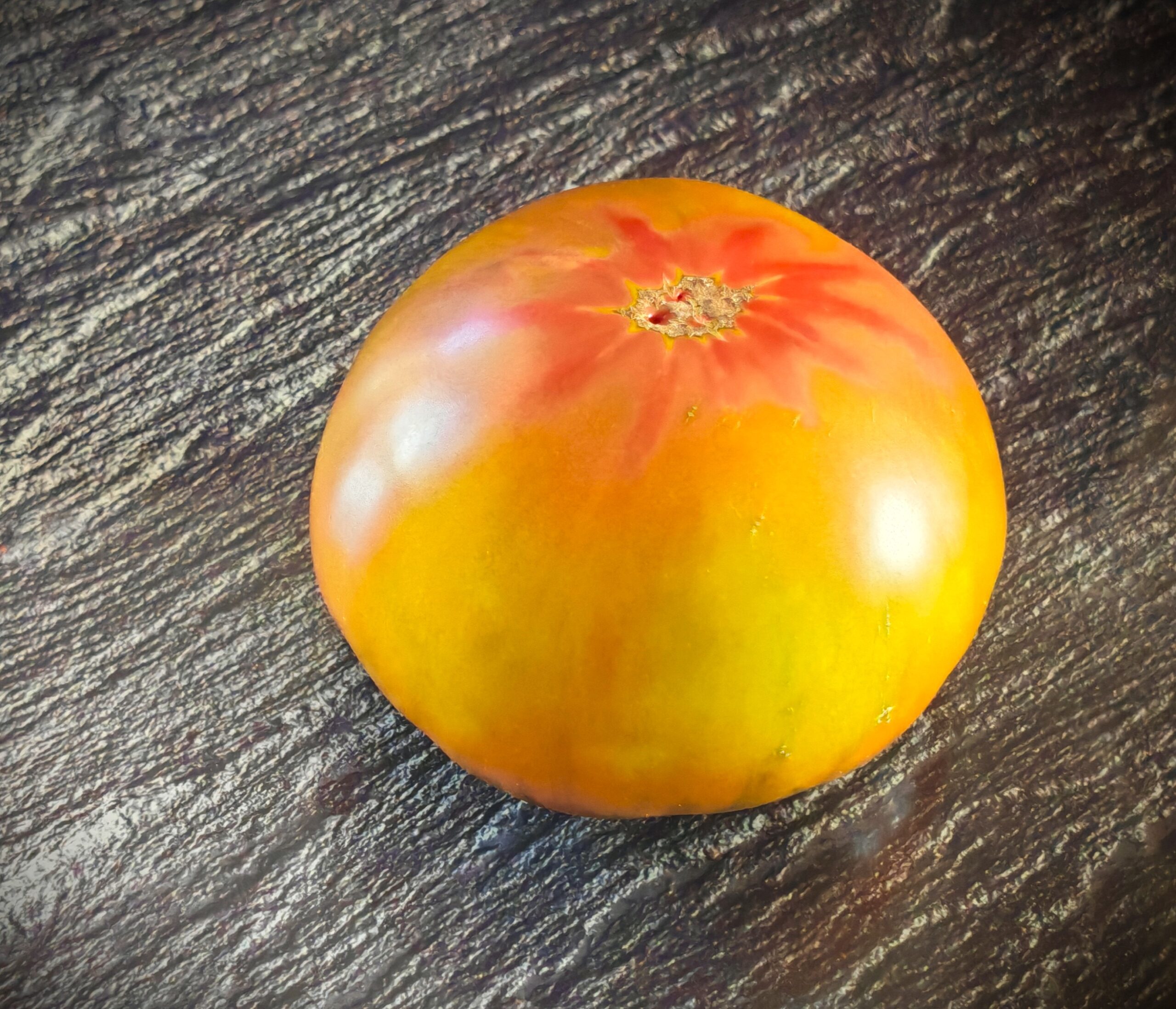 Pomidor Twilight Tricolor