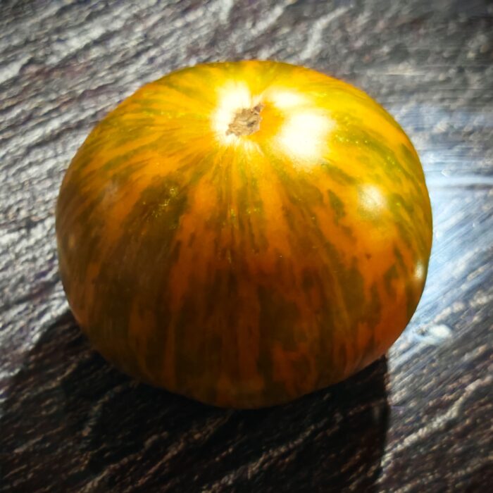Pomidor Jipaulia