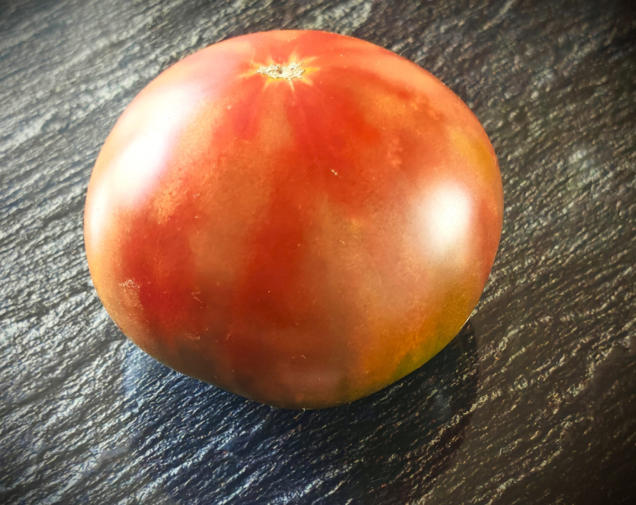 Pomidor Twilight Tricolor - obrazek 3