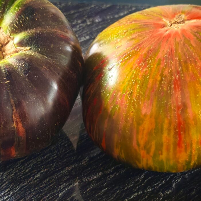 Pomidor Stripe Of Bliss (Kolekcja Sofia Saakova)