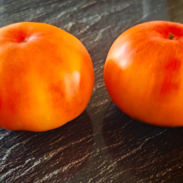 Pomidor Nelumi
