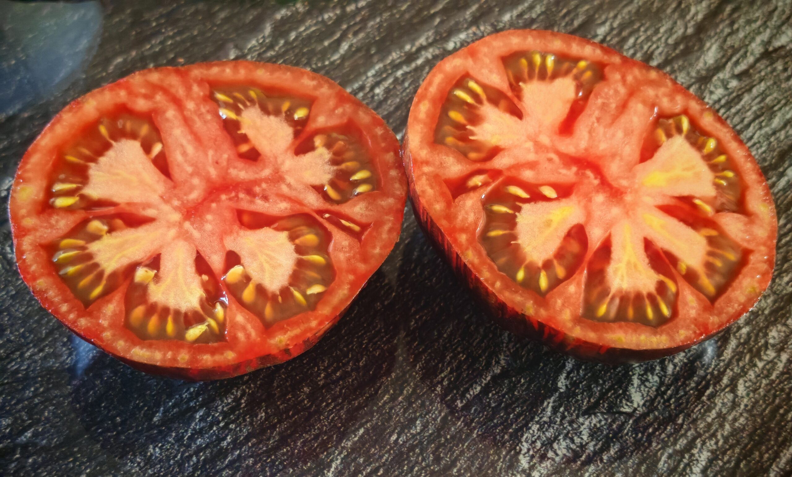 Pomidor Marsha’s Starfighter Beefsteak - obrazek 2