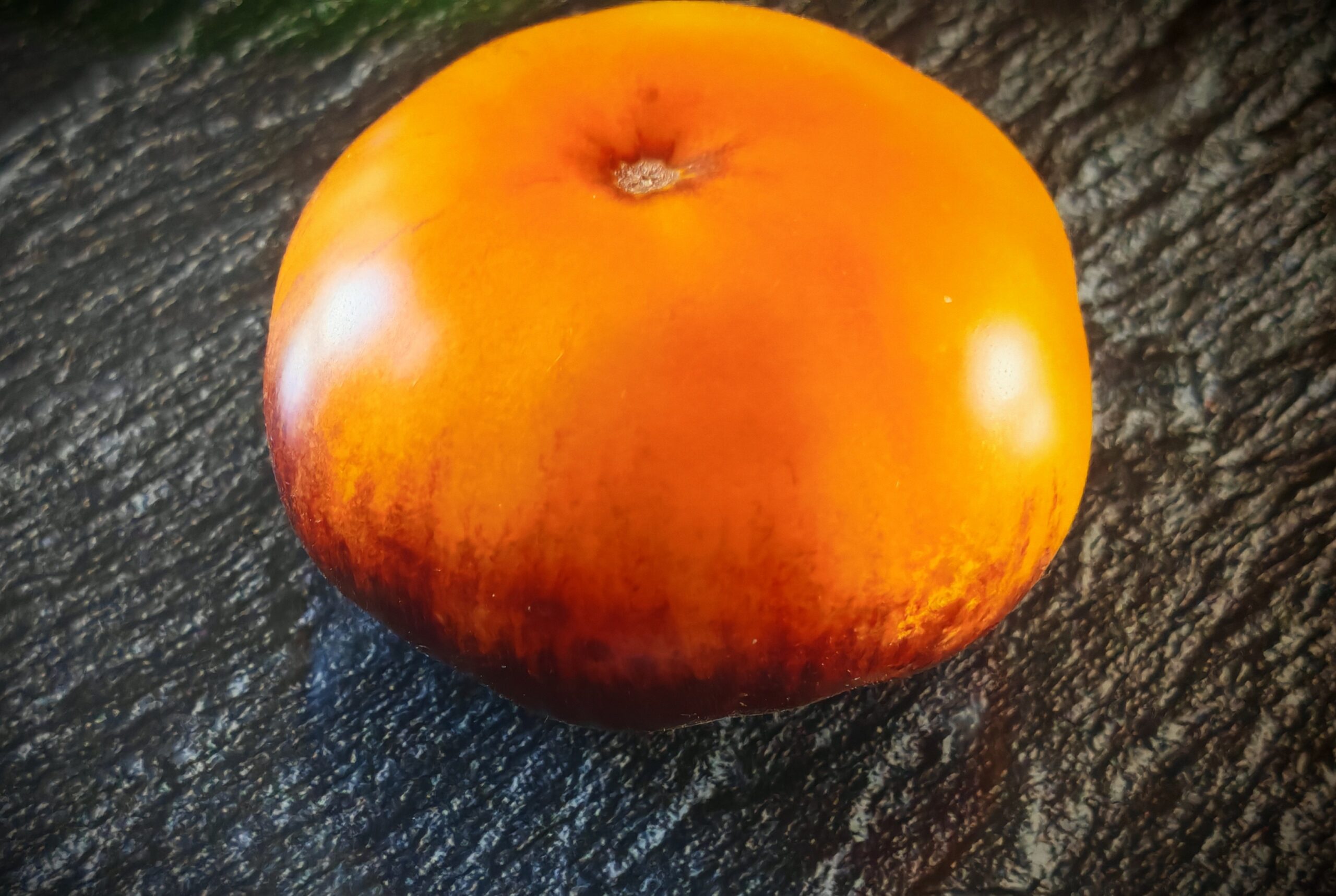 Pomidor Ch-Check It Out (BB)
