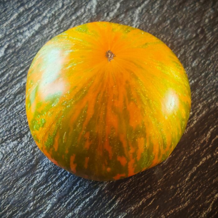 Pomidor Kozula 179