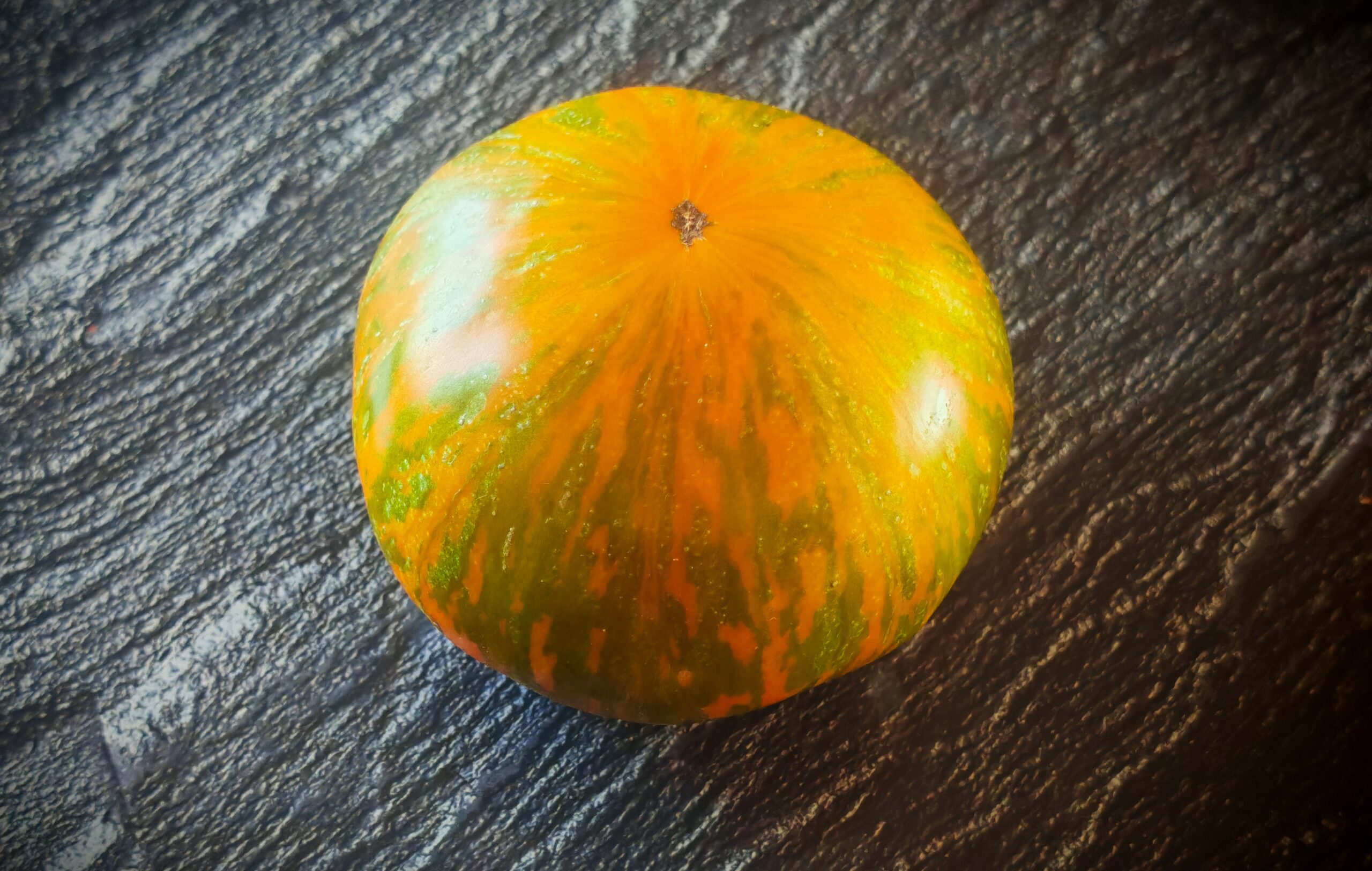 Pomidor Kozula 179