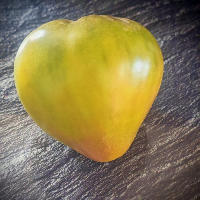 Pomidor Sofia's Green Heart (Kolekcja Sofia Saakova)