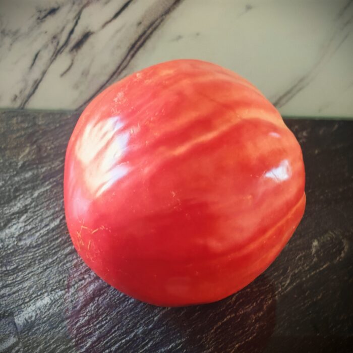 Pomidor Vero Cuore di Bue di Bologna