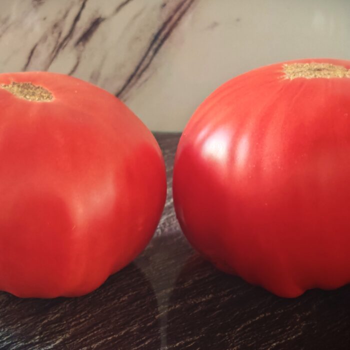 Pomidor Mexico