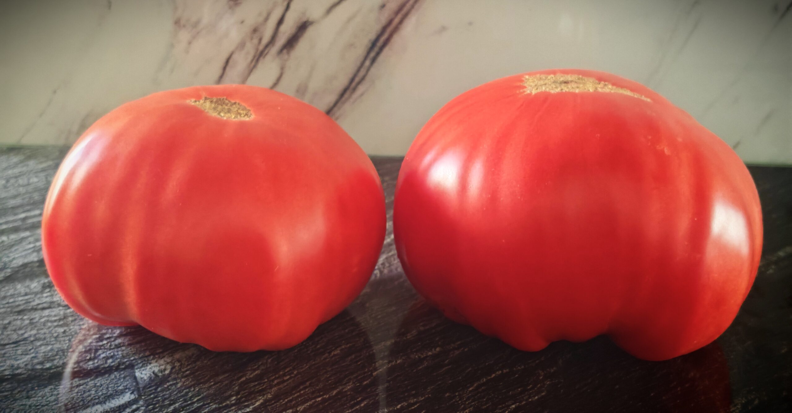 Pomidor Mexico