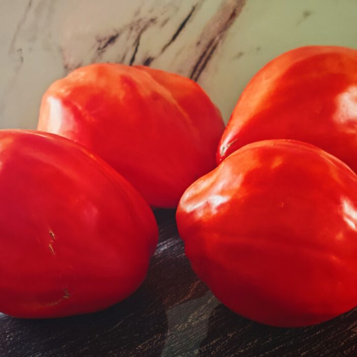 Pomidor Red Beak