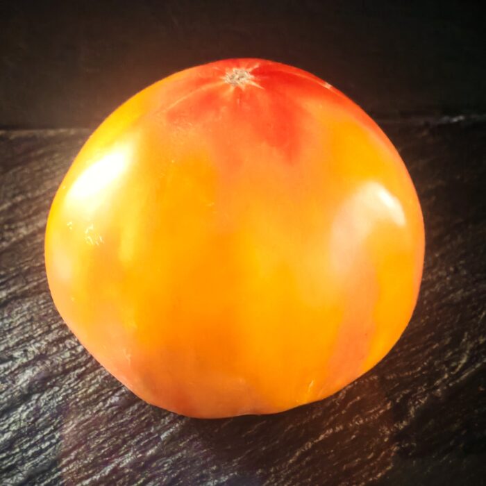 Pomidor Stellato di Bellinzona