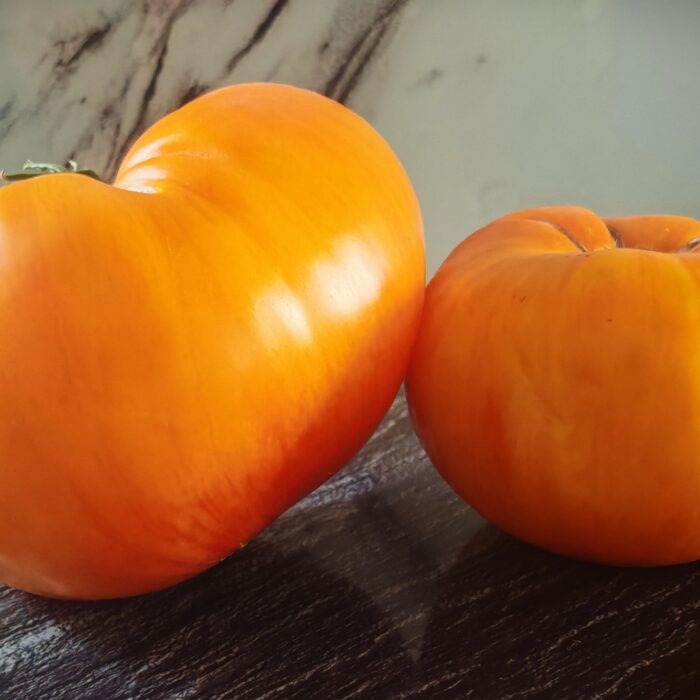 Pomidor Hess