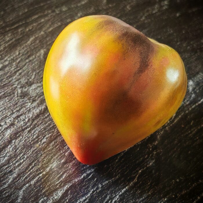 Pomidor Captivating Heart (Kolekcja Sofia Saakova)