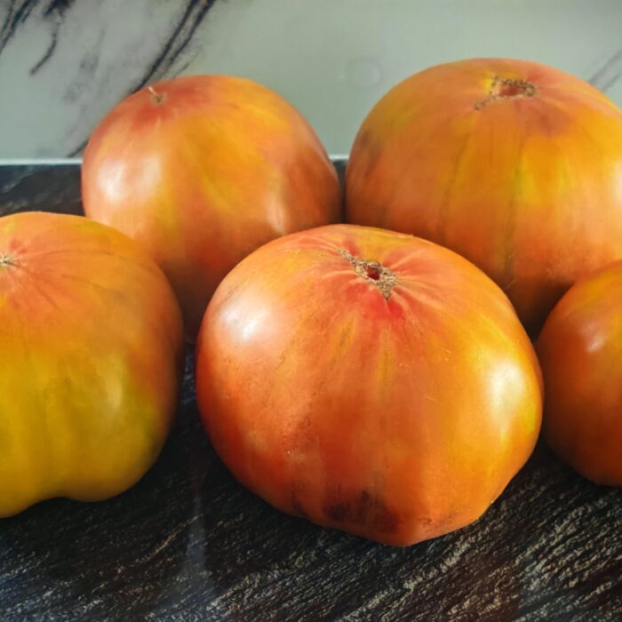 Pomidor Pruneaux Sauvages (Dzikie Śliwki)