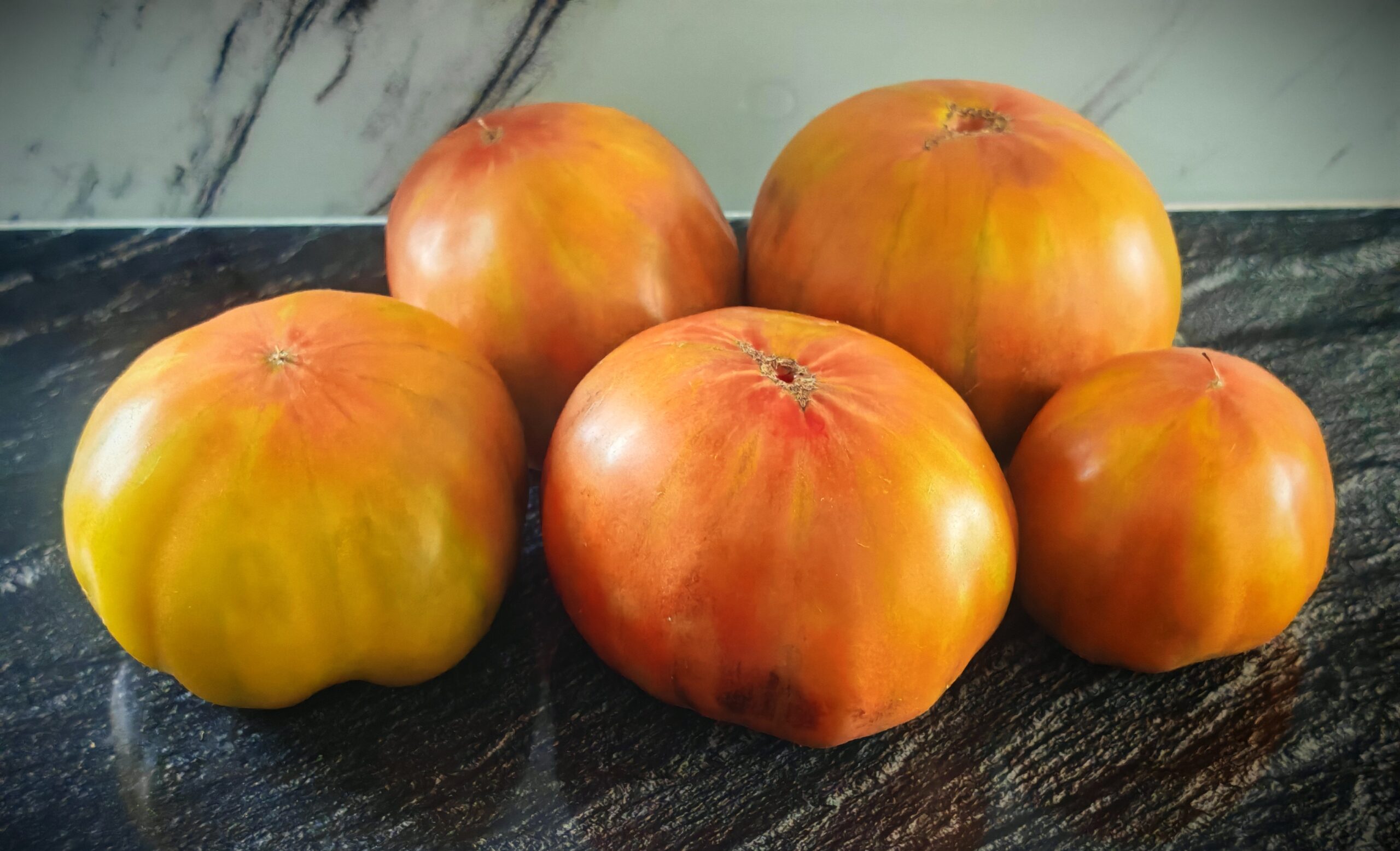 Pomidor Pruneaux Sauvages (Dzikie Śliwki)