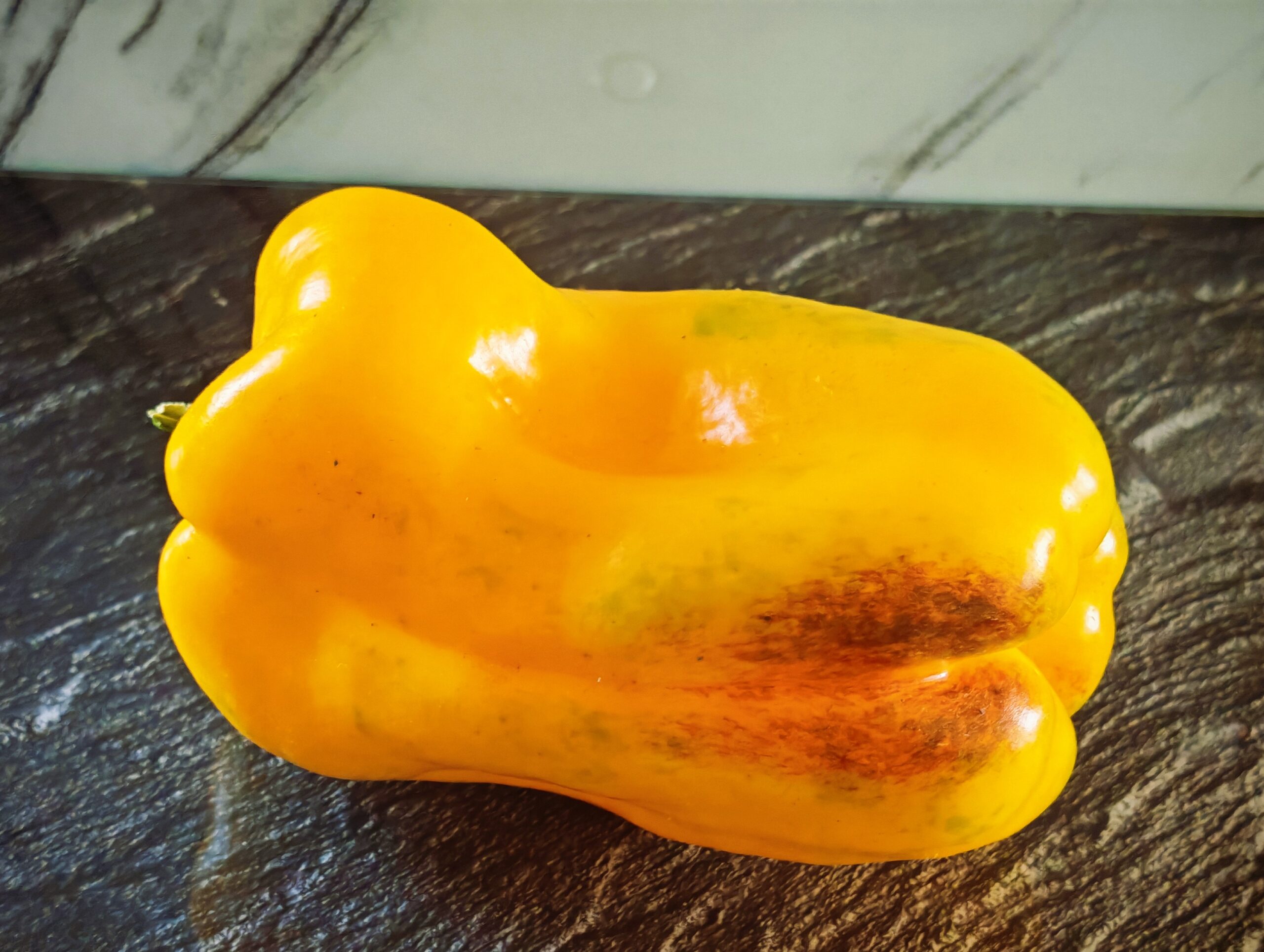 Papryka Yellow Monster - słodka - obrazek 2