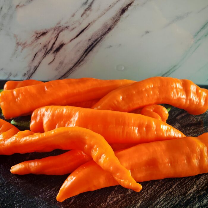Papryka Corno Di Toro Orange- słodka