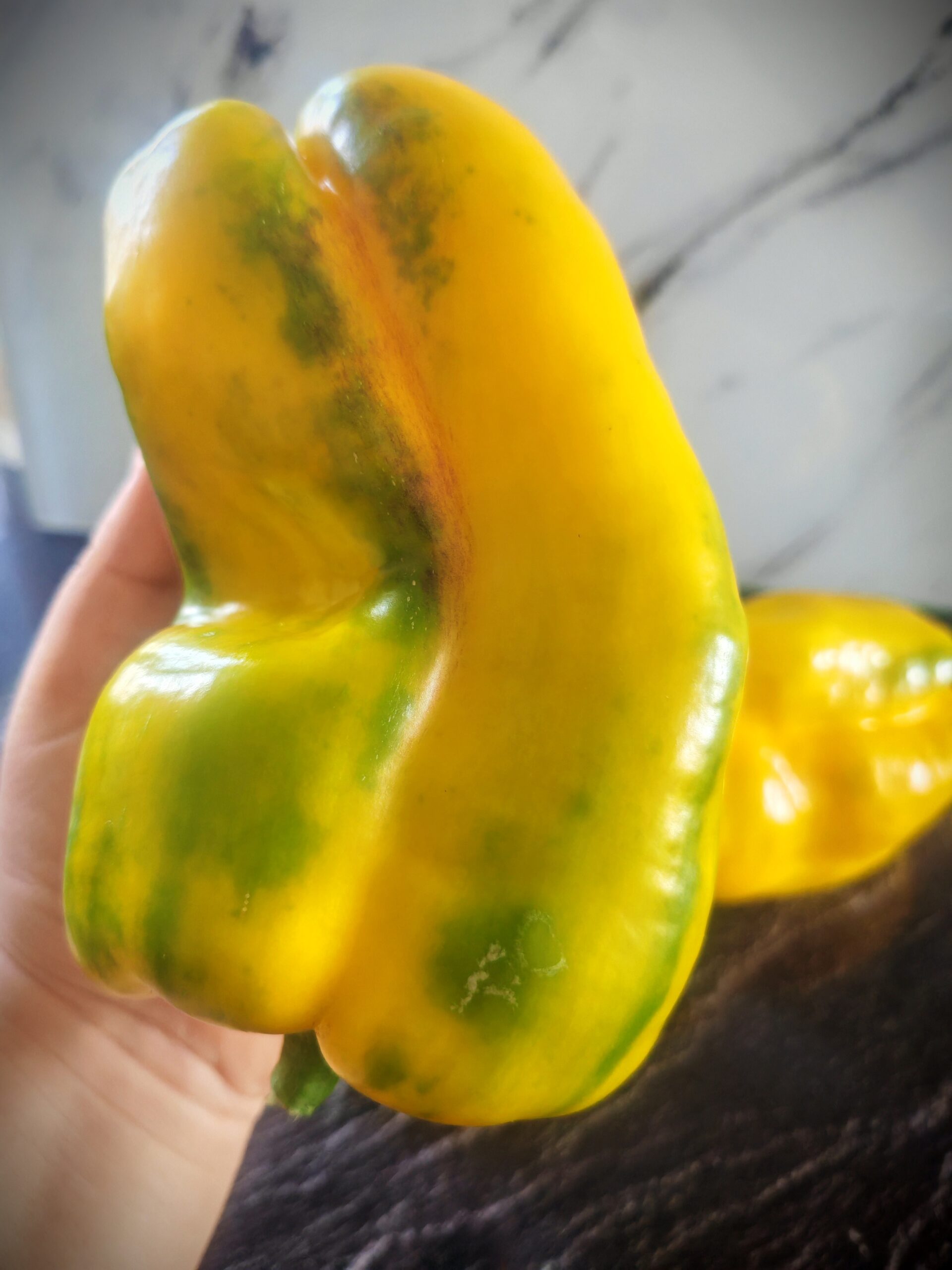 Papryka Yellow Monster - słodka - obrazek 6
