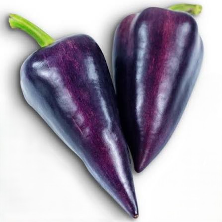 Papryka Violet Sparkle- słodka - obrazek 4